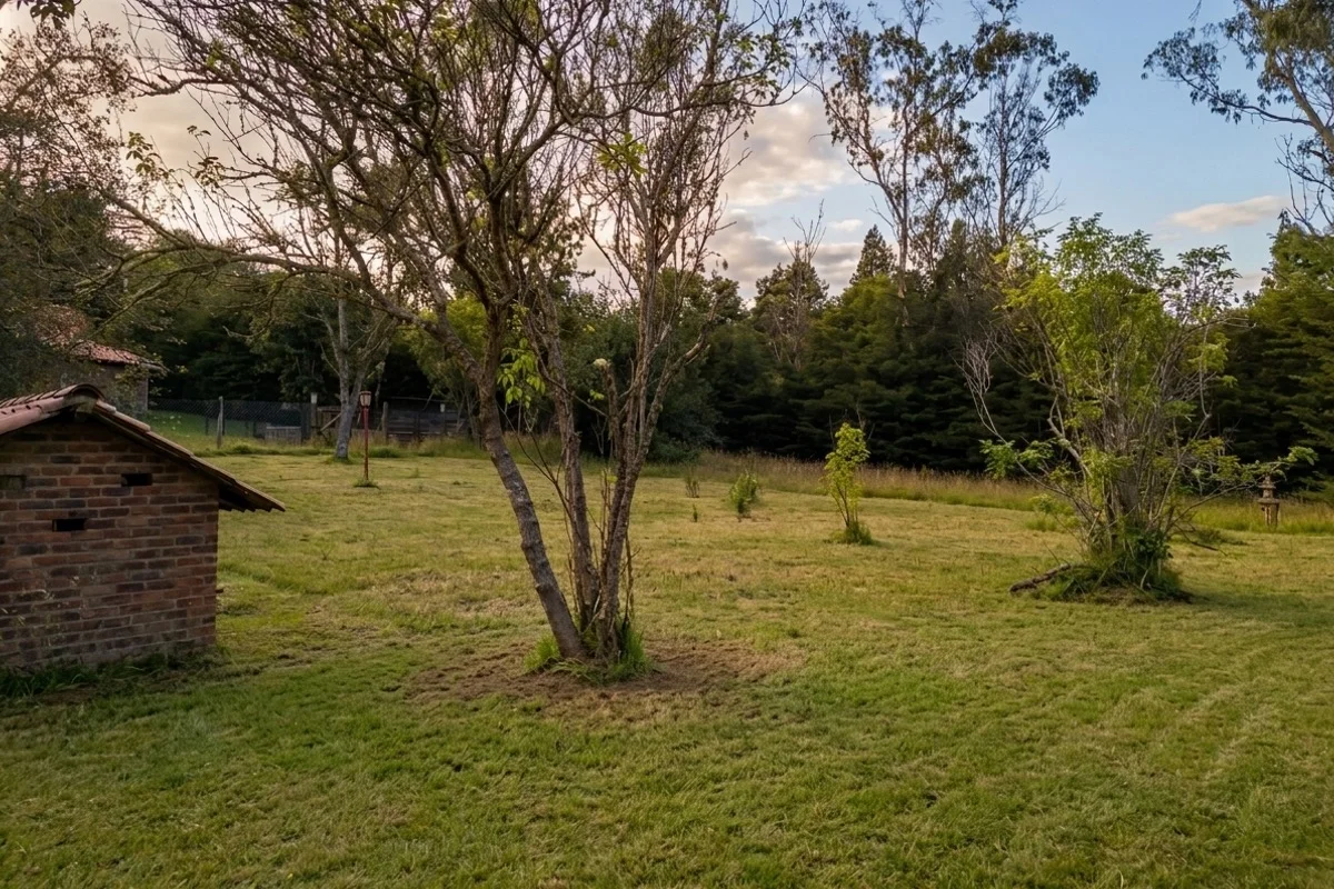 Jardín amplio con árboles y zona verde extensa